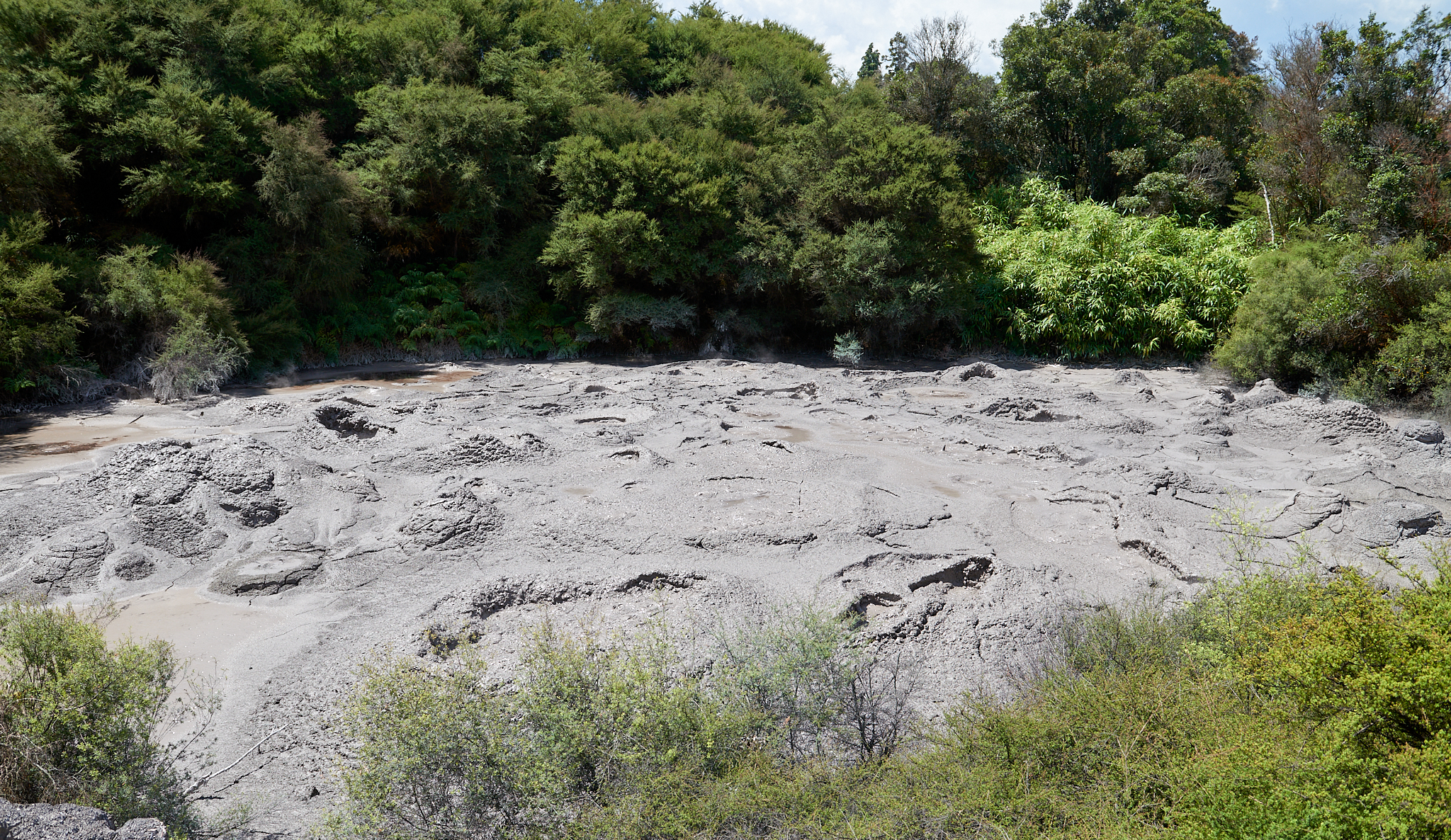 20180129 156 뉴질랜드 포후투